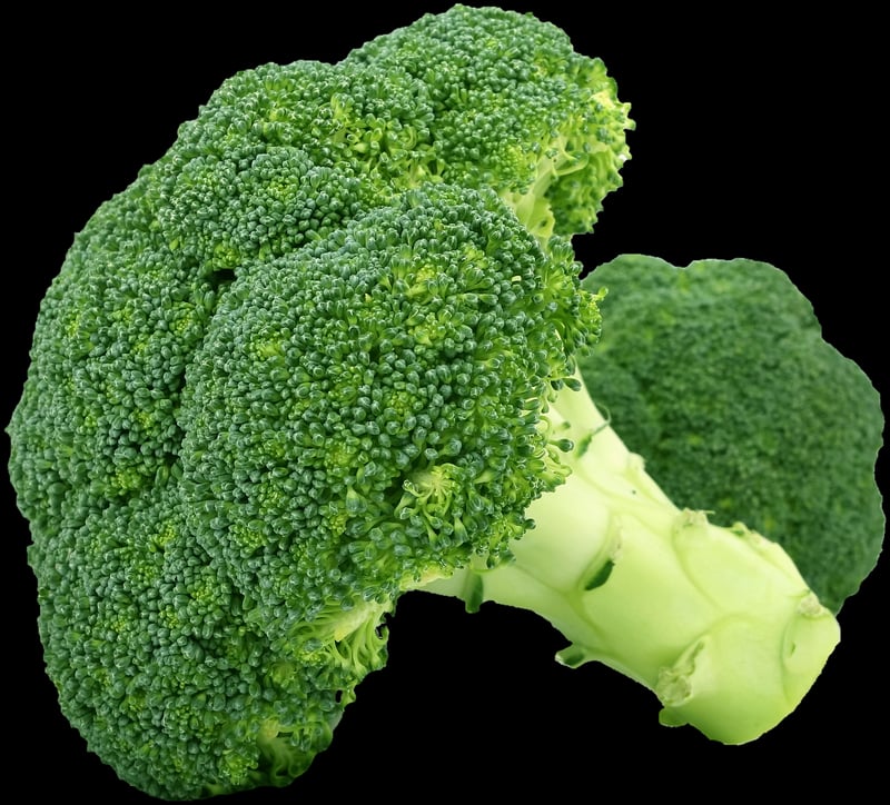 Variety of Vegetables